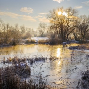 Утро морозное